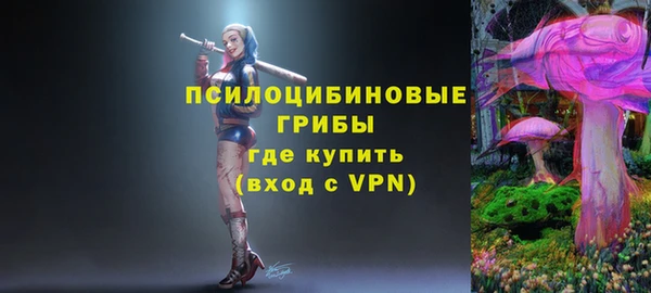 мдпв Армянск