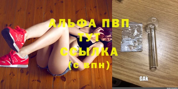 круглые Аркадак