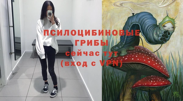 бутират Арсеньев