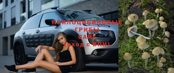 мдпв Армянск