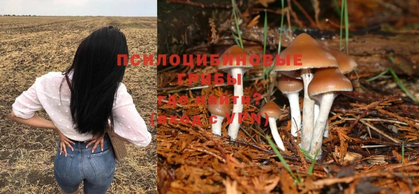 круглые Аркадак