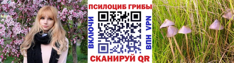 Псилоцибиновые грибы ЛСД  как найти   Руза 